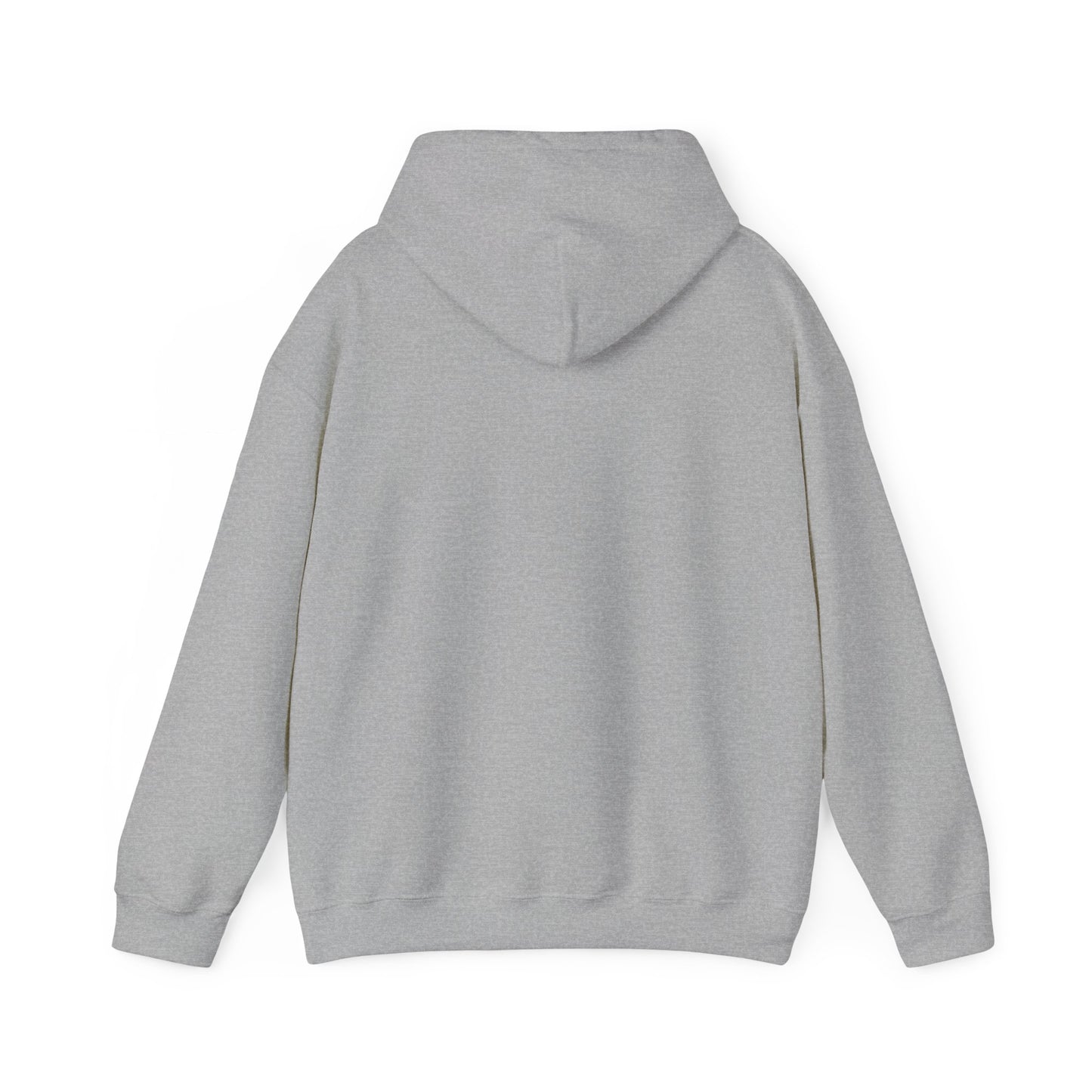 Lake Eildon Ski Team Hoodie in Grey